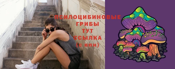 PSILOCYBIN Краснослободск