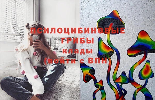 PSILOCYBIN Краснослободск